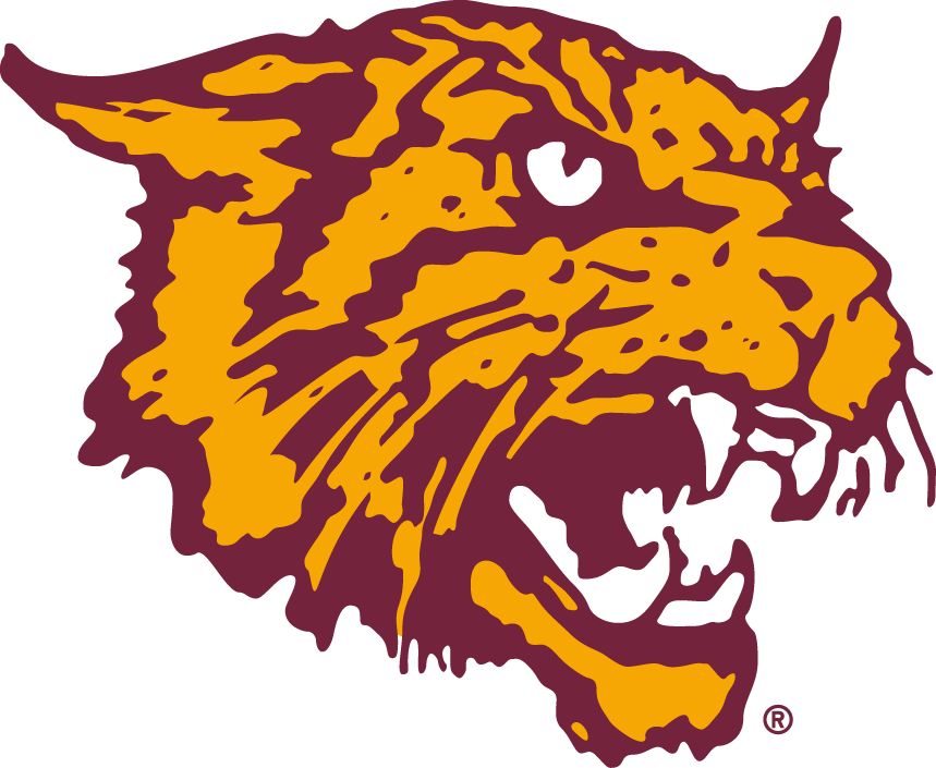 Bethune-Cookman Wildcats 2000-2015 Alternate Logo v3 iron on transfers for T-shirts